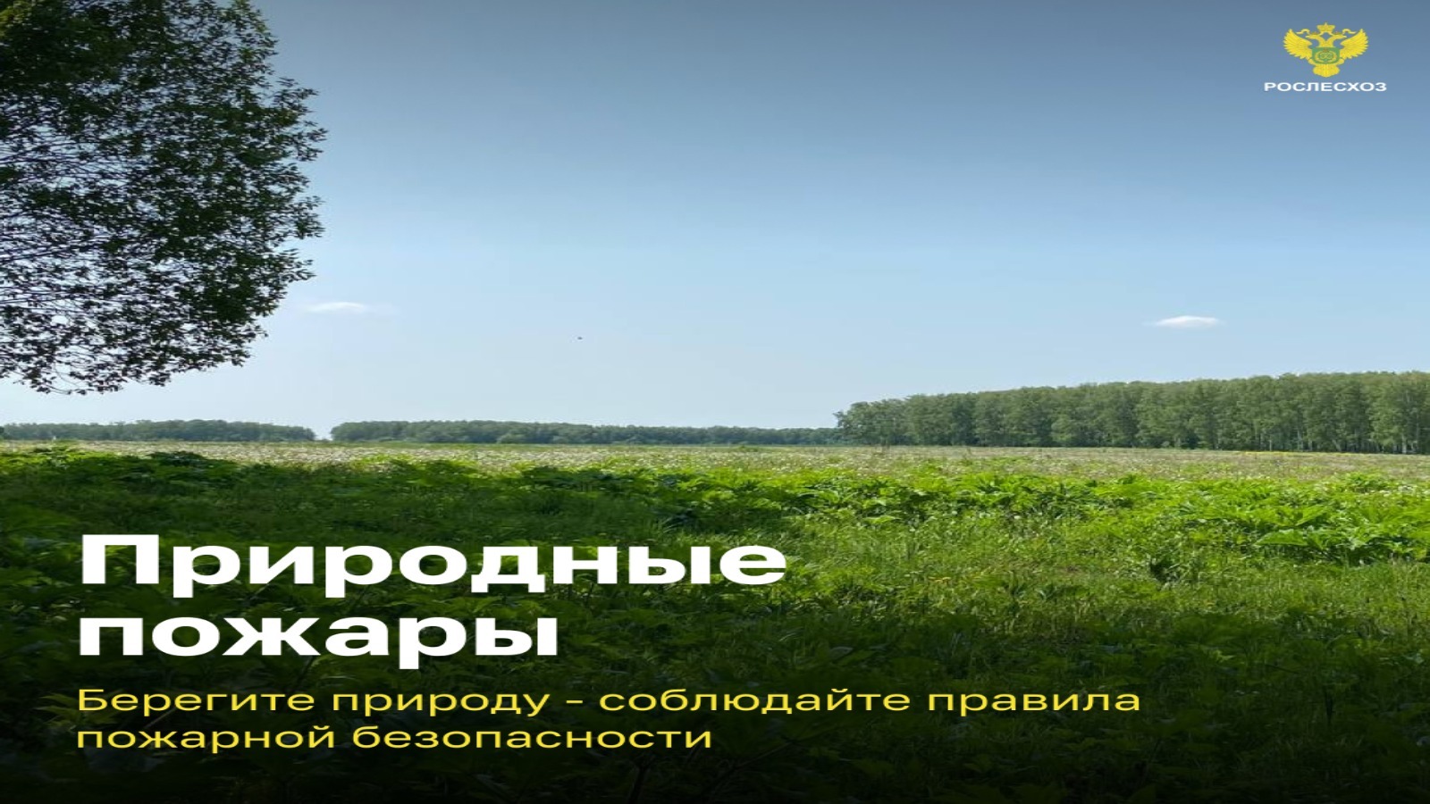 Природные пожары. Безопасность начинается с тебя!.