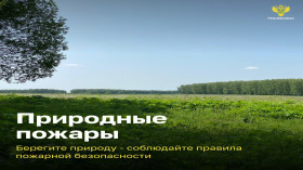 Природные пожары. Безопасность начинается с тебя!.