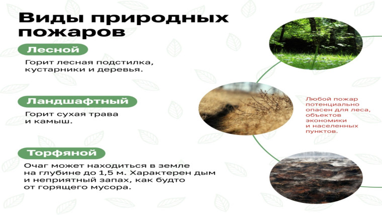 Природные пожары. Безопасность начинается с тебя!.