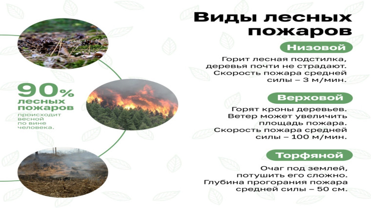 Природные пожары. Безопасность начинается с тебя!.