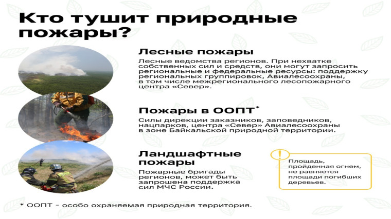 Природные пожары. Безопасность начинается с тебя!.