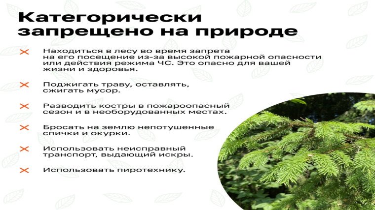 Природные пожары. Безопасность начинается с тебя!.