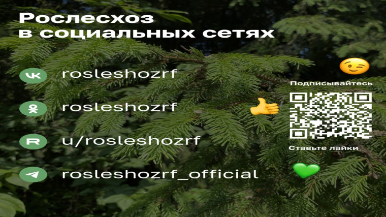 Природные пожары. Безопасность начинается с тебя!.